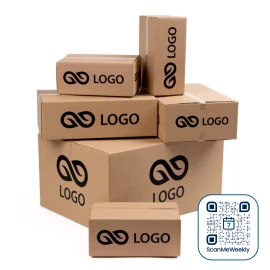 Karton paczkomatowy - Gabaryt B